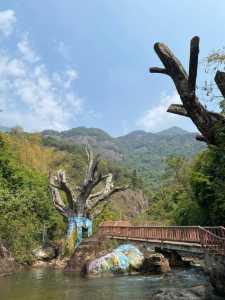 白水寨旅游攻略,白水寨旅游攻略大全? 第2张 白水寨旅游攻略,白水寨旅游攻略大全? 第2张