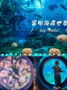 富国海底世界营业时间,富国海底世界营业时间最新? 第6张 富国海底世界营业时间,富国海底世界营业时间最新? 第6张