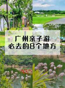 广州带娃必去的景点排名?广州带娃旅游? 第5张 广州带娃必去的景点排名?广州带娃旅游? 第5张