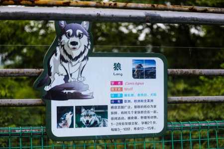 合肥野生动物园,合肥野生动物园地图? 第1张 合肥野生动物园,合肥野生动物园地图? 第1张
