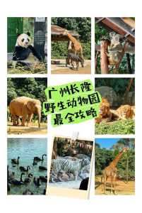 合肥野生动物园,合肥野生动物园地图? 第5张 合肥野生动物园,合肥野生动物园地图? 第5张