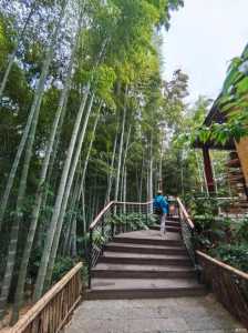 河南旅游景点排名前十名免费,河南 旅游 景点 第5张 河南旅游景点排名前十名免费,河南 旅游 景点 第5张