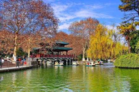 深圳仙湖植物园图片?深圳仙湖植物园导览图? 第2张 深圳仙湖植物园图片?深圳仙湖植物园导览图? 第2张