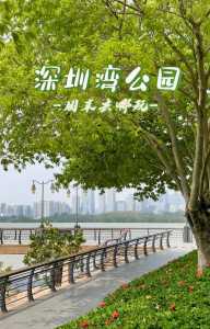 深圳仙湖植物园图片?深圳仙湖植物园导览图? 第3张 深圳仙湖植物园图片?深圳仙湖植物园导览图? 第3张