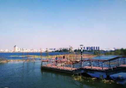 深圳仙湖植物园图片?深圳仙湖植物园导览图? 第4张 深圳仙湖植物园图片?深圳仙湖植物园导览图? 第4张