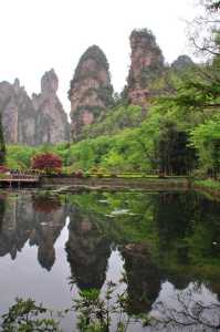 金鞭溪的景点介绍,十里画廊景点介绍? 第2张 金鞭溪的景点介绍,十里画廊景点介绍? 第2张