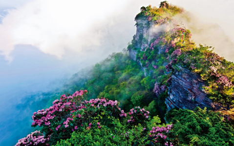 光雾山哪个景区比较好,光雾山哪个景区比较好玩? 第1张 光雾山哪个景区比较好,光雾山哪个景区比较好玩? 第1张