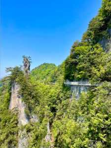 光雾山哪个景区比较好,光雾山哪个景区比较好玩? 第2张 光雾山哪个景区比较好,光雾山哪个景区比较好玩? 第2张