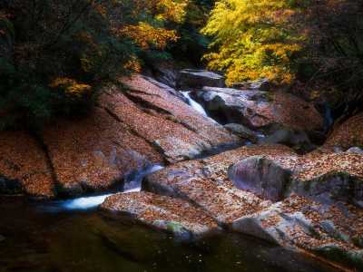 光雾山哪个景区比较好,光雾山哪个景区比较好玩? 第4张 光雾山哪个景区比较好,光雾山哪个景区比较好玩? 第4张