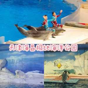 极地海洋世界门票多少钱,极地海洋世界门票多少钱一张 第2张 极地海洋世界门票多少钱,极地海洋世界门票多少钱一张 第2张