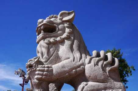 沧州旅游景点大全,沧州旅游景点大全一日游? 第5张 沧州旅游景点大全,沧州旅游景点大全一日游? 第5张
