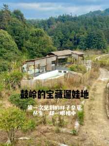 福州鼓岭一日游攻略?福州鼓岭一日游攻略图? 第5张 福州鼓岭一日游攻略?福州鼓岭一日游攻略图? 第5张