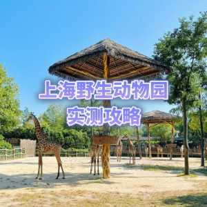 上海野生动物园游玩攻略,上海动物园和野生动物园哪个好玩? 第2张 上海野生动物园游玩攻略,上海动物园和野生动物园哪个好玩? 第2张
