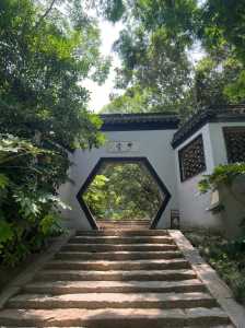 瘦西湖的景点介绍,瘦西湖的景点介绍英文? 第5张 瘦西湖的景点介绍,瘦西湖的景点介绍英文? 第5张