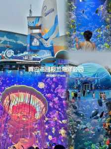 青岛海昌极地海洋公园门票,预订青岛海昌极地海洋公园门票? 第5张 青岛海昌极地海洋公园门票,预订青岛海昌极地海洋公园门票? 第5张