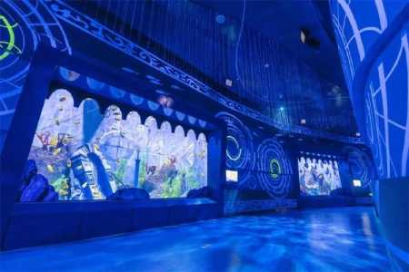 济南海洋极地海洋世界门票?济南泉城极地海洋世界? 第3张 济南海洋极地海洋世界门票?济南泉城极地海洋世界? 第3张