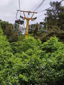 附近旅行社一日游,附近旅行社一日游的地方? 第4张 附近旅行社一日游,附近旅行社一日游的地方? 第4张