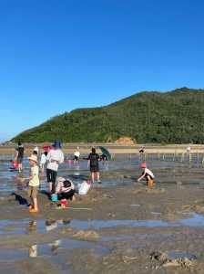 广东海边去哪里旅游比较好?广东海边去哪里旅游比较好最便宜? 第2张 广东海边去哪里旅游比较好?广东海边去哪里旅游比较好最便宜? 第2张