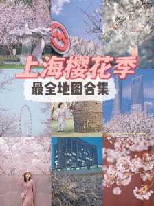 上海辰山植物园图片,上海辰山植物园图片怎么画 第3张 上海辰山植物园图片,上海辰山植物园图片怎么画 第3张