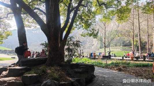上海辰山植物园图片,上海辰山植物园图片怎么画 第4张 上海辰山植物园图片,上海辰山植物园图片怎么画 第4张