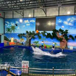 石家庄动物园海洋馆门票,石家庄动物园海洋馆门票多少钱一个人? 第2张 石家庄动物园海洋馆门票,石家庄动物园海洋馆门票多少钱一个人? 第2张
