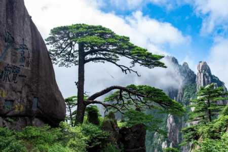 黄山旅游图黄山导游图?黄山 旅游地图? 第4张 黄山旅游图黄山导游图?黄山 旅游地图? 第4张