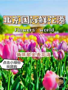 北京世界鲜花港官方网站,北京世界鲜花港门票预约 第2张 北京世界鲜花港官方网站,北京世界鲜花港门票预约 第2张