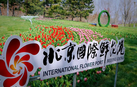 北京世界鲜花港官方网站,北京世界鲜花港门票预约 第3张 北京世界鲜花港官方网站,北京世界鲜花港门票预约 第3张