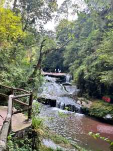 东拉山大峡谷风景区开放了吗?东拉山大峡谷风景区好玩吗? 第1张 东拉山大峡谷风景区开放了吗?东拉山大峡谷风景区好玩吗? 第1张