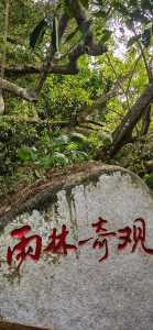 热带天堂森林公园门票,热带天堂森林公园门票优惠政策 第2张 热带天堂森林公园门票,热带天堂森林公园门票优惠政策 第2张