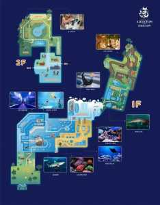 北海海底世界门票?北海海底世界门票费用本地人? 第1张 北海海底世界门票?北海海底世界门票费用本地人? 第1张