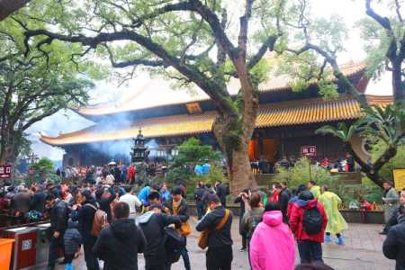 普陀山为什么要去三年,普陀山为什么要门票? 第4张 普陀山为什么要去三年,普陀山为什么要门票? 第4张