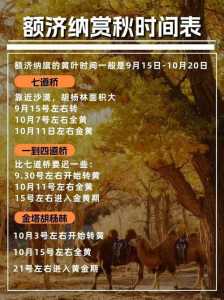 额济纳旅游线路,额济纳旅游线路有哪些? 第3张 额济纳旅游线路,额济纳旅游线路有哪些? 第3张