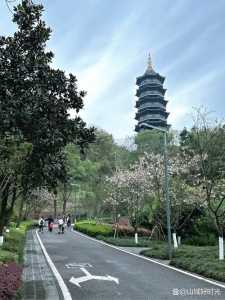重庆园博园门票多少钱,重庆园博园门票多少钱2023年 第2张 重庆园博园门票多少钱,重庆园博园门票多少钱2023年 第2张