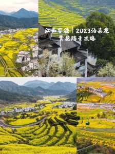 江西婺源油菜花,江西婺源油菜花图片? 第2张 江西婺源油菜花,江西婺源油菜花图片? 第2张