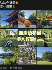 深圳仙湖植物园地铁,深圳仙湖植物园地铁站哪站下车? 第1张 深圳仙湖植物园地铁,深圳仙湖植物园地铁站哪站下车? 第1张