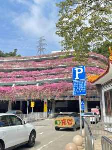 深圳仙湖植物园地铁,深圳仙湖植物园地铁站哪站下车? 第3张 深圳仙湖植物园地铁,深圳仙湖植物园地铁站哪站下车? 第3张