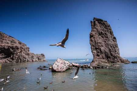 威海海驴岛旅游攻略,威海海驴岛旅游攻略路线 第2张 威海海驴岛旅游攻略,威海海驴岛旅游攻略路线 第2张