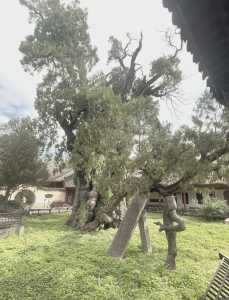 少林寺门票费用多少?少林寺门票费用多少钱? 第3张 少林寺门票费用多少?少林寺门票费用多少钱? 第3张