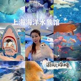 上海海洋馆门票多少钱一张,上海海洋馆门票多少钱一张啊 第2张 上海海洋馆门票多少钱一张,上海海洋馆门票多少钱一张啊 第2张