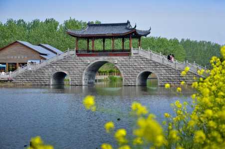 兴化水上森林公园?兴化水上森林公园作文400字? 第1张 兴化水上森林公园?兴化水上森林公园作文400字? 第1张