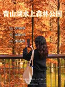 兴化水上森林公园?兴化水上森林公园作文400字? 第2张 兴化水上森林公园?兴化水上森林公园作文400字? 第2张