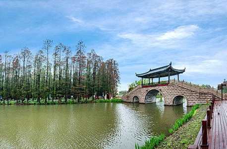 兴化水上森林公园?兴化水上森林公园作文400字? 第4张 兴化水上森林公园?兴化水上森林公园作文400字? 第4张
