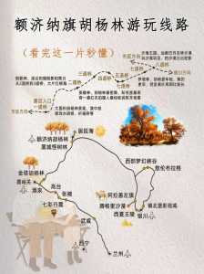 额济纳旗胡杨林最佳时间?额济纳旗胡杨林景点分布? 第2张 额济纳旗胡杨林最佳时间?额济纳旗胡杨林景点分布? 第2张