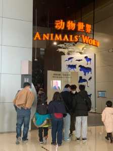 上海野生动物园门票?上海野生动物园门票老人票? 第4张 上海野生动物园门票?上海野生动物园门票老人票? 第4张