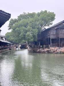 西塘古镇门票多少钱?西塘古镇门票多少钱老人优惠吗? 第3张 西塘古镇门票多少钱?西塘古镇门票多少钱老人优惠吗? 第3张