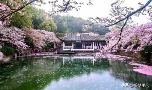 鼋头渚门票优惠政策2021,鼋头渚门票优惠政策最新 第1张 鼋头渚门票优惠政策2021,鼋头渚门票优惠政策最新 第1张