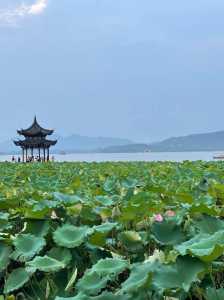 杭州旅行全攻略?杭州旅行路线攻略? 第5张 杭州旅行全攻略?杭州旅行路线攻略? 第5张