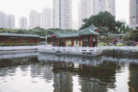 深圳景点大全免费开放?深圳景点大全免费开放一日游? 第2张 深圳景点大全免费开放?深圳景点大全免费开放一日游? 第2张