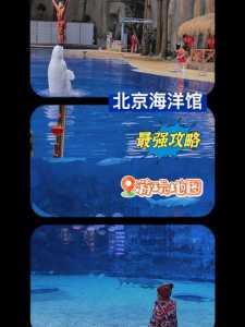 北京海洋馆攻略,北京海洋馆攻略最新? 第5张 北京海洋馆攻略,北京海洋馆攻略最新? 第5张
